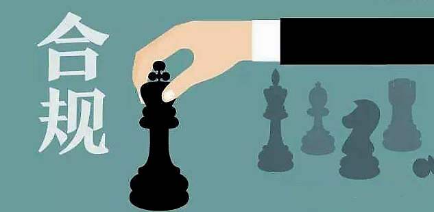 风险与内控咨询