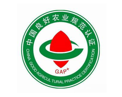 GAP认证